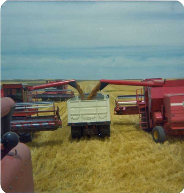 4-760-unloading-wheat