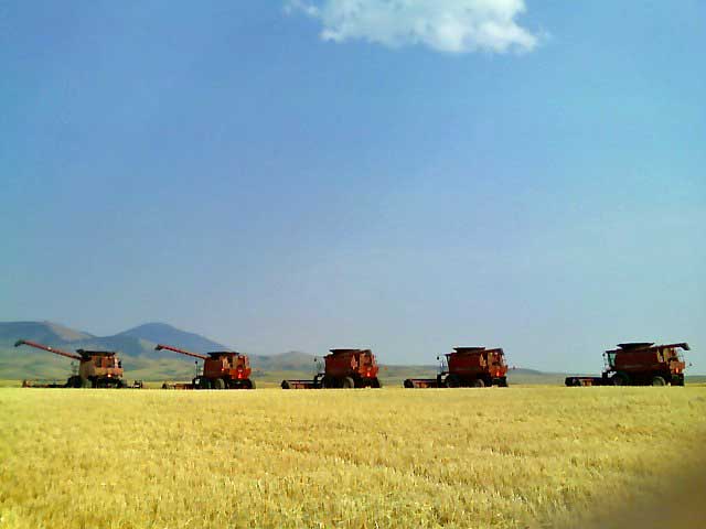 5-7088-2588-wesrbute