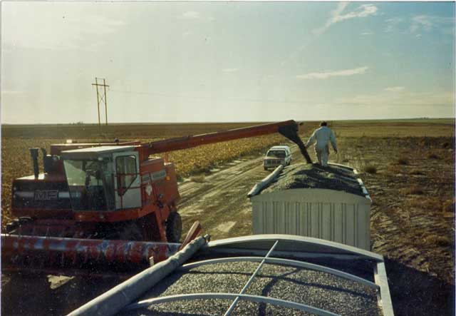 860-unloading-flowers